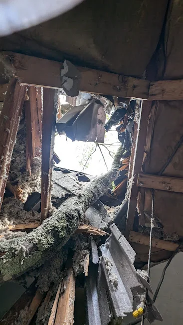 Tree damage at the roof, Kitchen & bathroom remodel, Warwick, RI